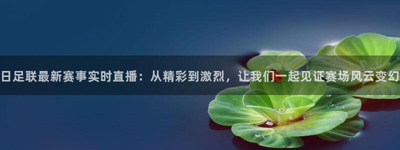 日足联最新赛事实时直播：从精彩到激烈，让我们一起见证赛场风云变幻