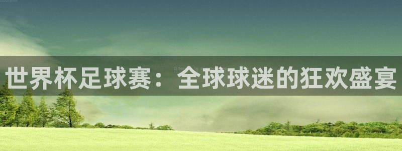 世界杯足球赛：全球球迷的狂欢盛宴