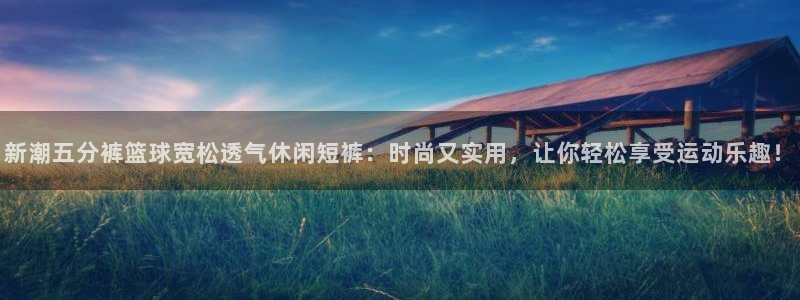 新潮五分裤篮球宽松透气休闲短裤：时尚又实
