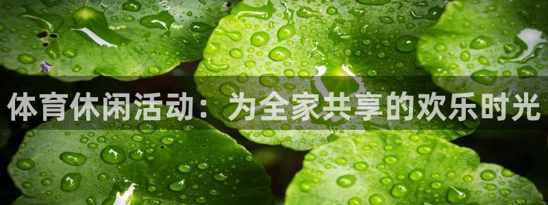 体育休闲活动：为全家共享的欢乐时光